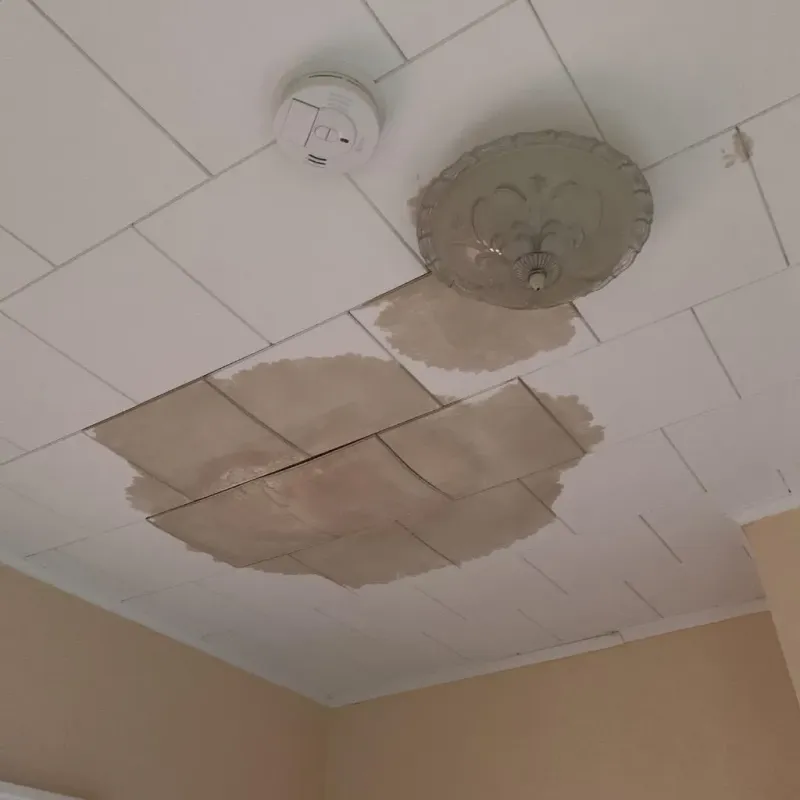 Ceiling Water Damage Repair in Central City, PA