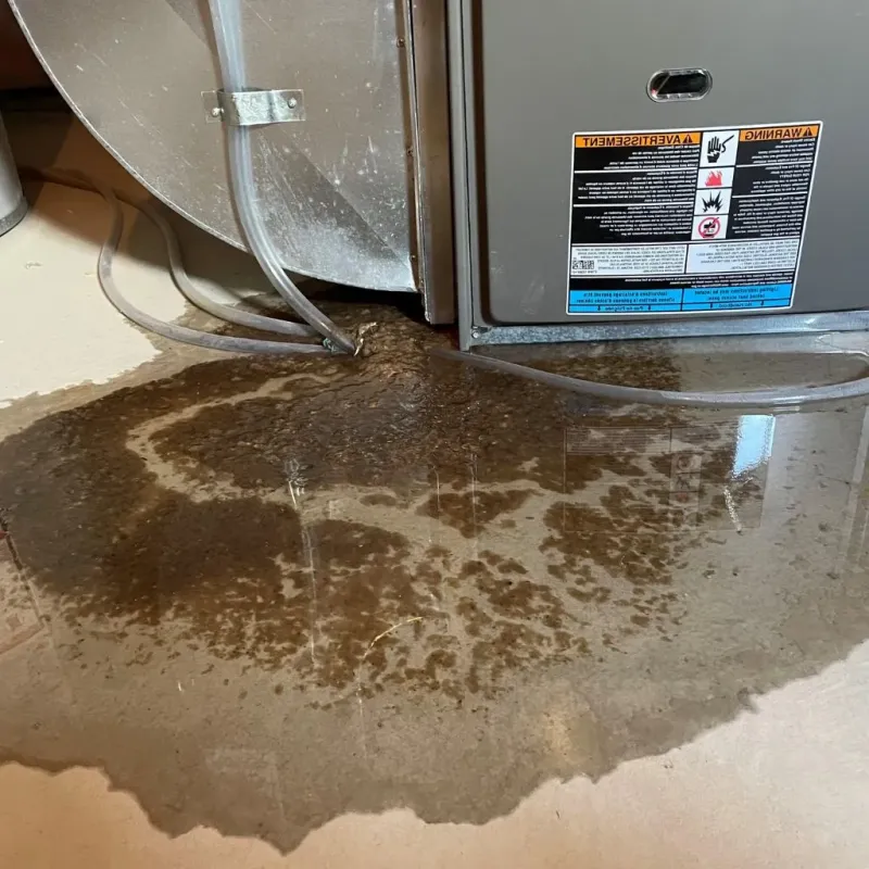 Pipe Burst and Leak Restoration in Central City, PA