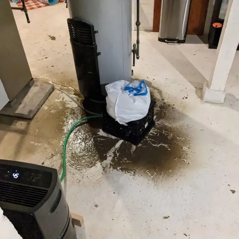Sewage Backup Cleanup Service in Central City, PA